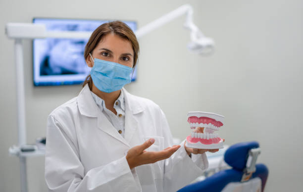 Best Urgent Dental Care in Holiday, FL
